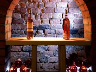 Hotel Vinopa Hustopeče