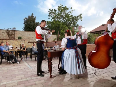 Hotel Vinopa Hustopeče